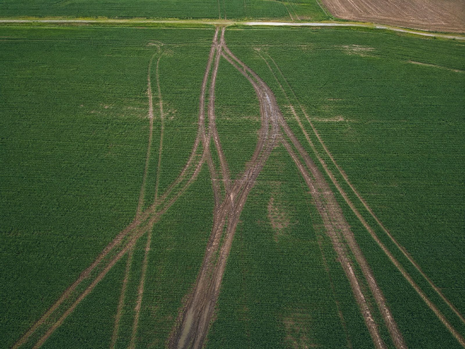 Fahrschaden durch schwere Maschinen auf einem Feld